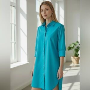NWT Hinson Wu Xena Dress Zipper Back Turquoise Blue 3/4 Sleeve Shift Medium